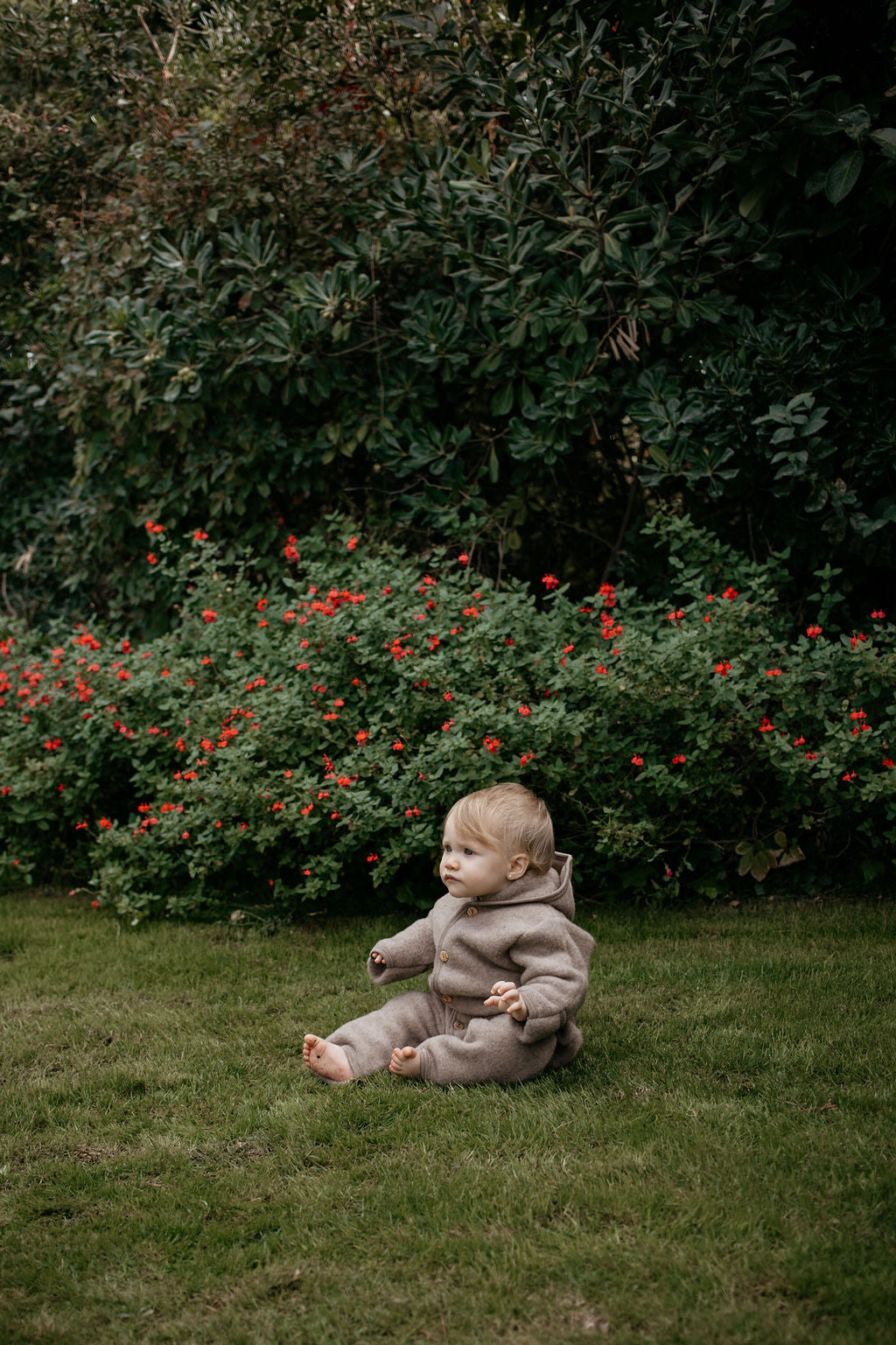 Enterito con capucha - Walnut