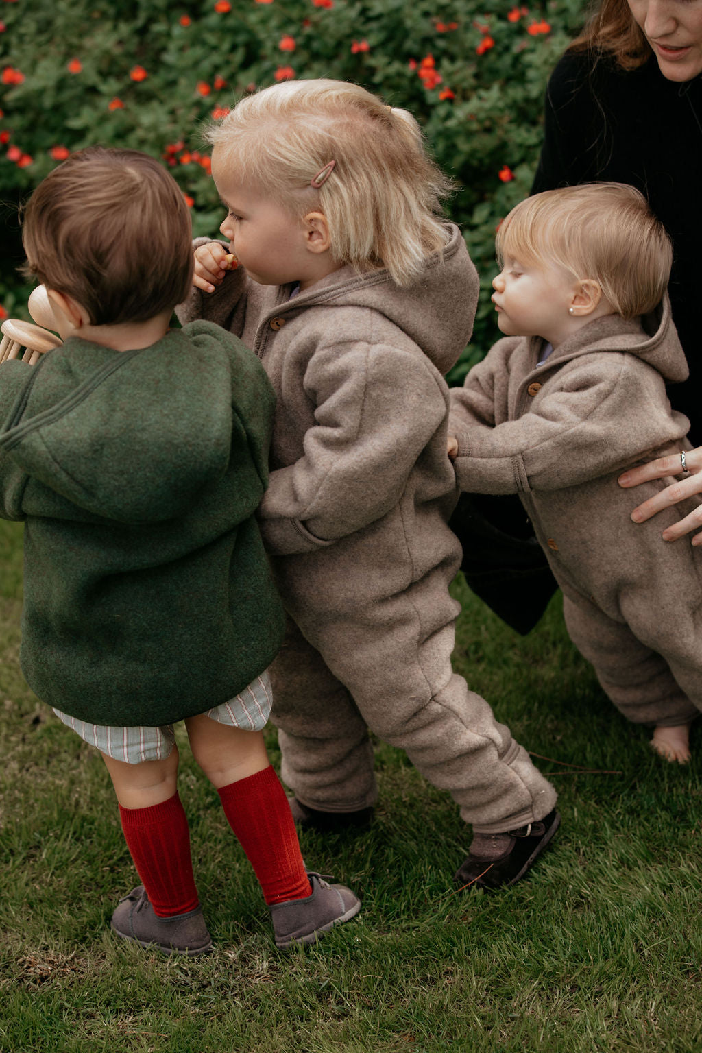 Enterito con capucha - Walnut